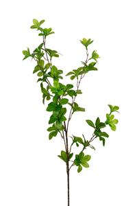 Louis maes Enkianthus l85cm groen kunstbloem  - 