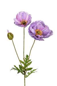 Louis maes Papaver l76cm lila kunstbloem  - 
