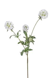 Louis maes Scabiosa stellata l75cm wit kunstbloem  - 