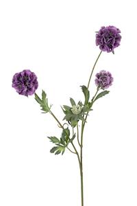 Louis maes Scabiosa stellata l75cm paars kunstbloem  - 
