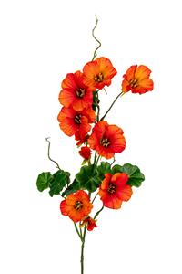 Louis maes Nasturium l78cm oranje kunstbloem  - 