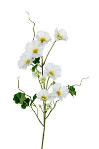 Louis maes Nasturium l78cm wit/groen kunstbloem  - 