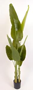 Oosterik home Trave palm 180 cm kunstplant  - 
