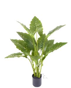 Oosterik home Allocasia groen 80 cm kunstplant  - 
