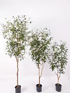 Oosterik home Olijfboom 180 cm kunstplant  - 