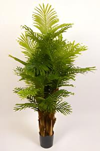 Oosterik home Mini palm 160 cm kunstplant  - 