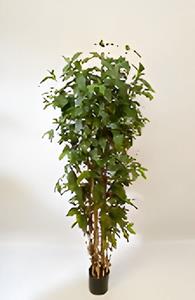 Oosterik home Dracaena surculosa 180 cm kunstplant  - 