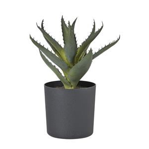 Xenos Kunstplant aloe vera in pot - groen/zwart - 25 cm