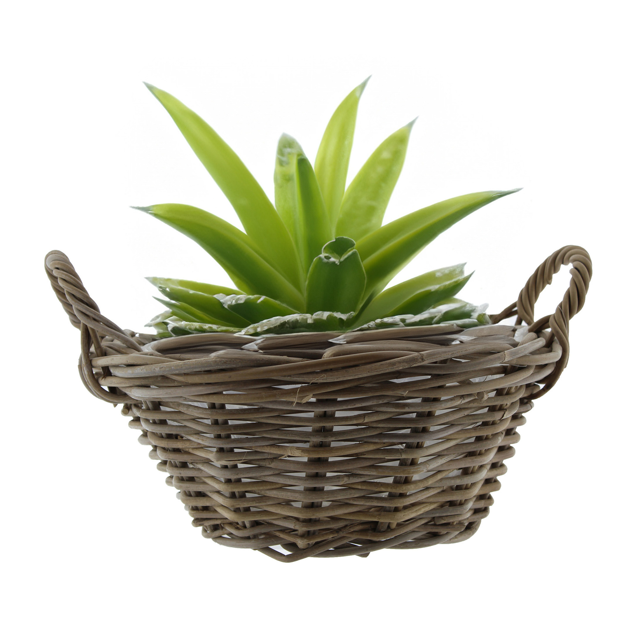 Van der Leeden Mand met hengsels - bruin - D43 x H18 cm - rotan -