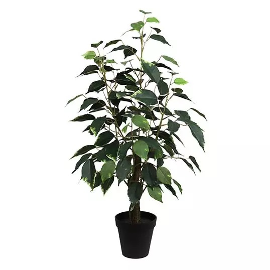 Buitengewoon de boet Ficus Bonsai Donkergroen 60 cm kunstplant - 