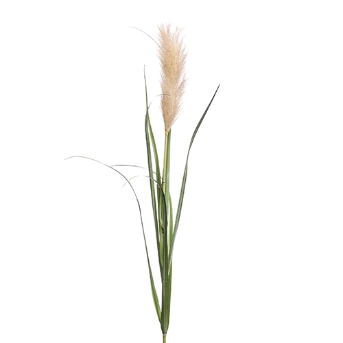 Emerald Pampas grass brown 120 cm - 