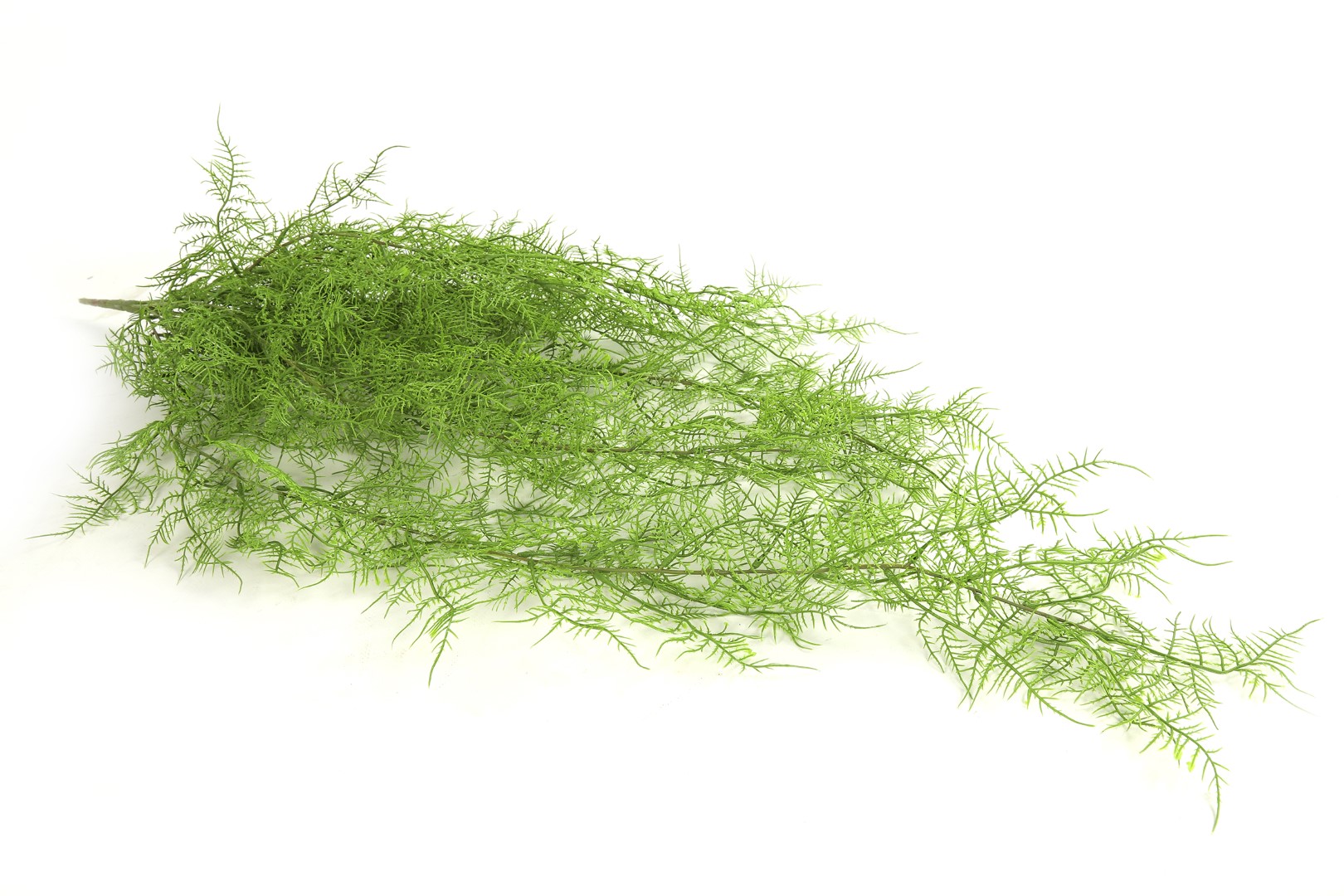 Countryfield Monilophyta groen - 