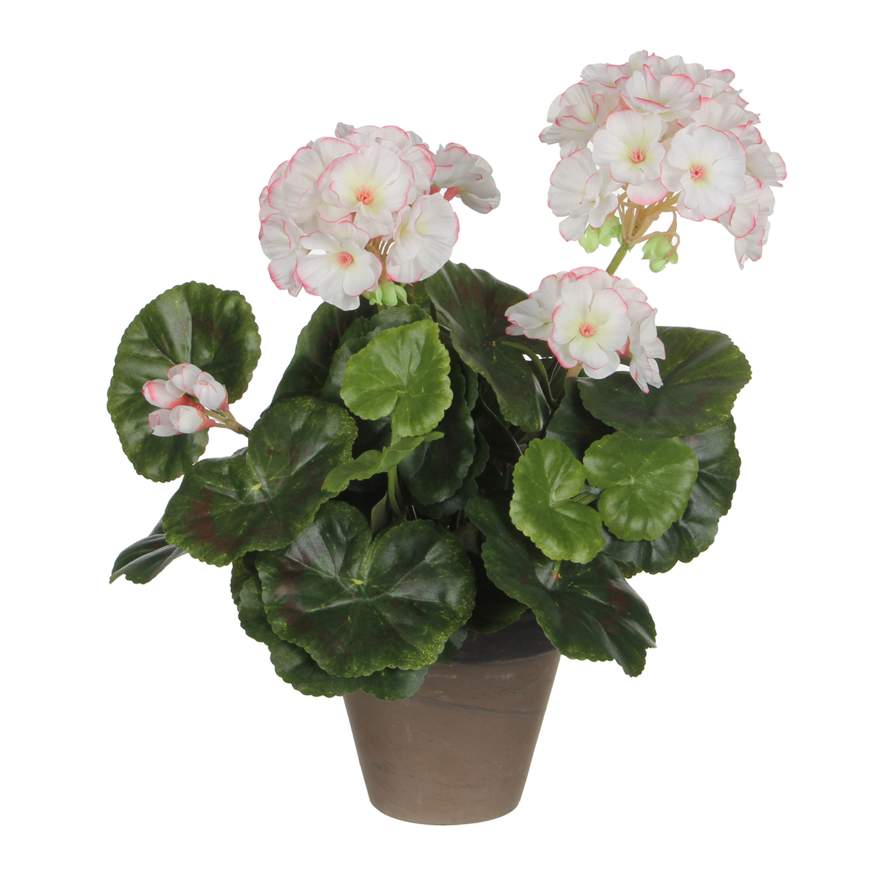Mica Decorations Kunstplant - geranium - wit/roze - in pot - cm -