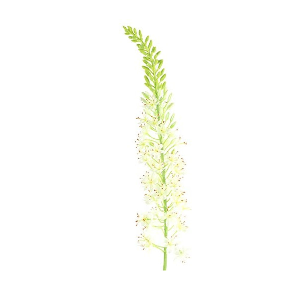 Countryfield Kunstbloem Lythrum Wit S