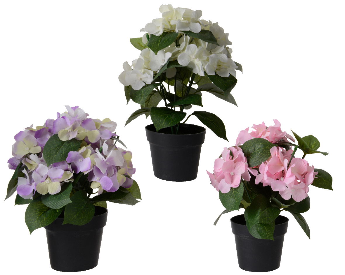 Everlands Hortensia polyester l25b25h24 cm a6 - 