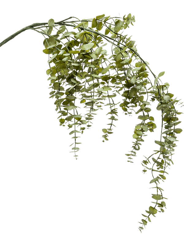 Emerald Eucalyptus hanging vine green 120 cm kunstbloem zijde nepbloem - 