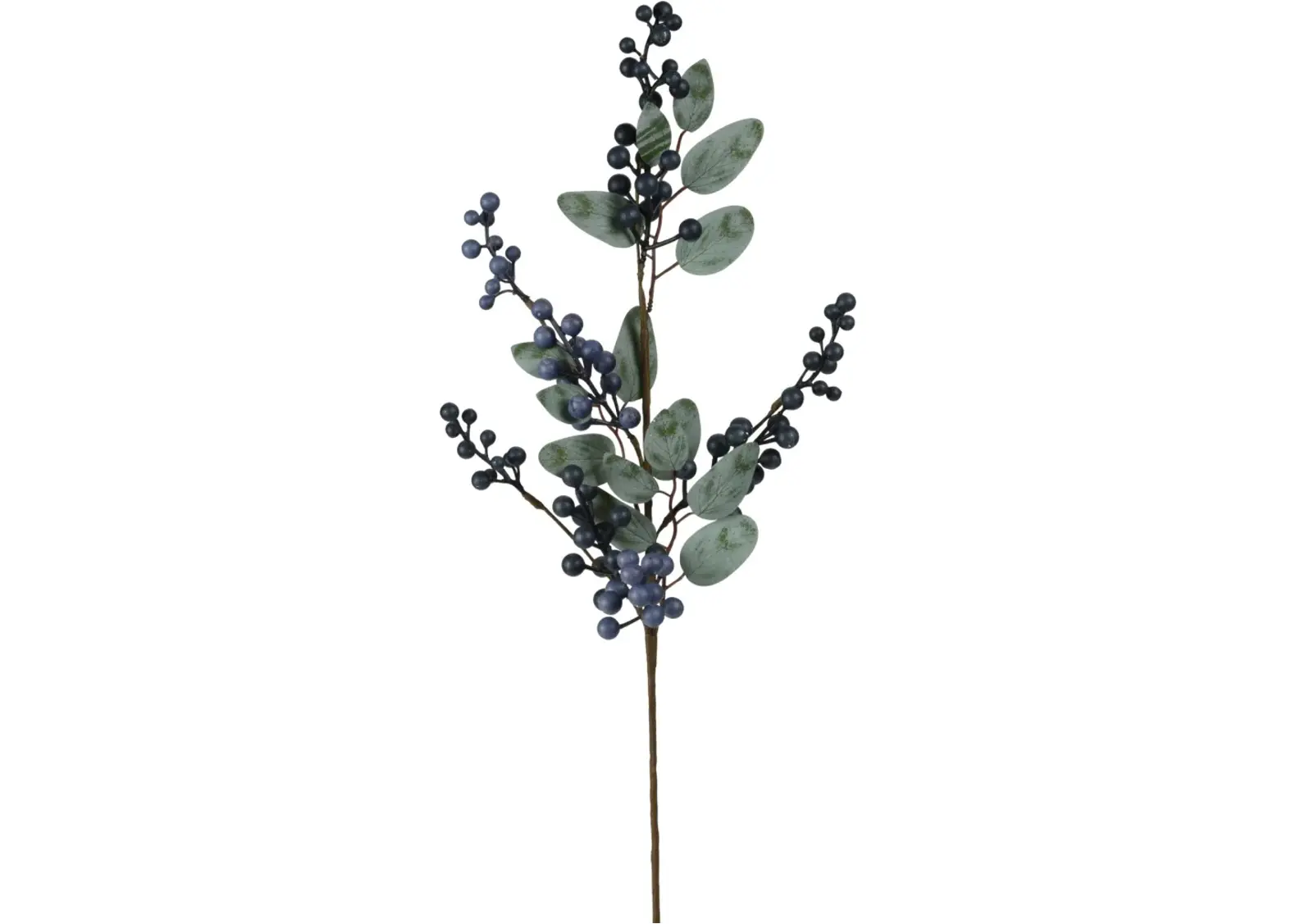 Koopman BESSENTAK 65CM BLAUW