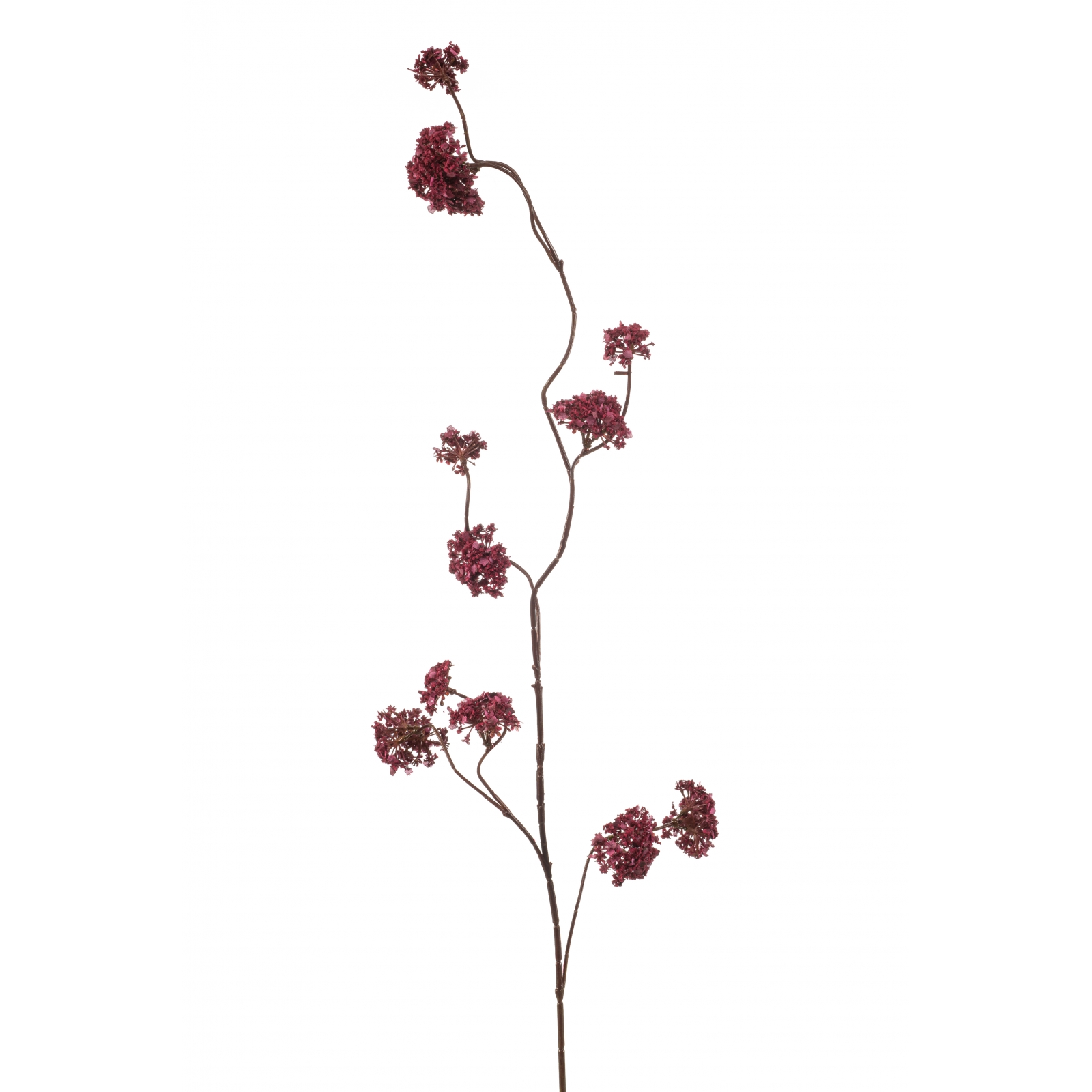 Woonexpress Verbena