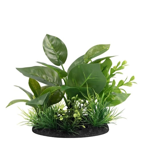 SuperFish Deco Plant S NR. 5