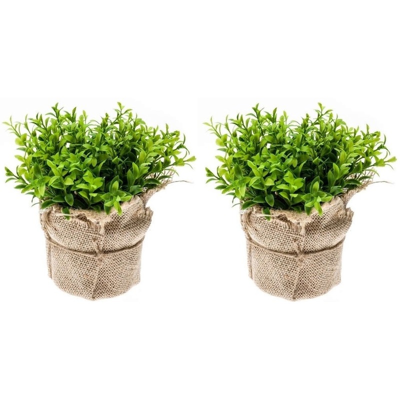 Bellatio flowers & plants 2x Kunstplanten tuinkers kruiden groen in jute pot 16 cm -