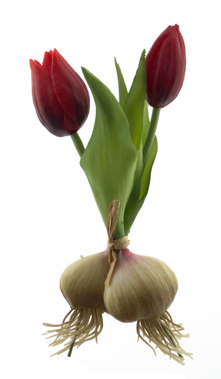 Nova nature PSO Holland tulip Sally w/bulb red 18 cm kunstbloem - 