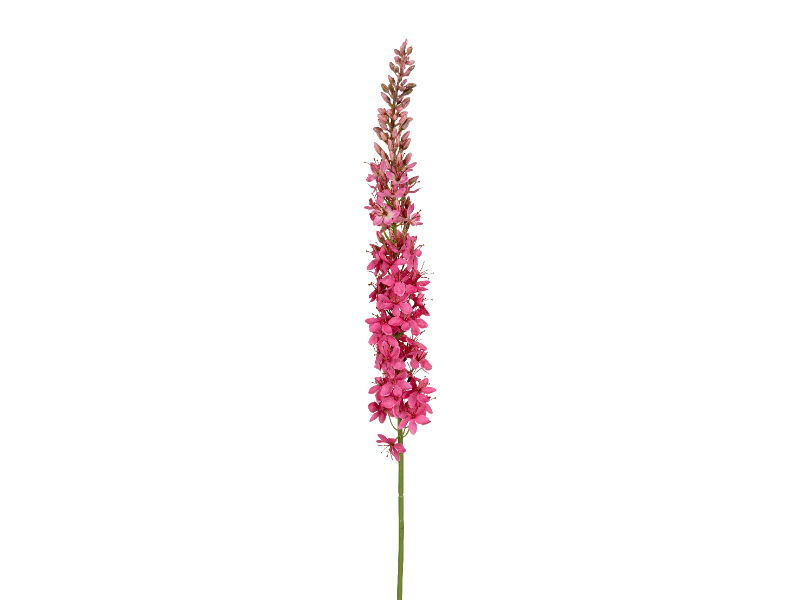 Louis maes Eremurus l105 cm dk roze zijde nepbloem - 