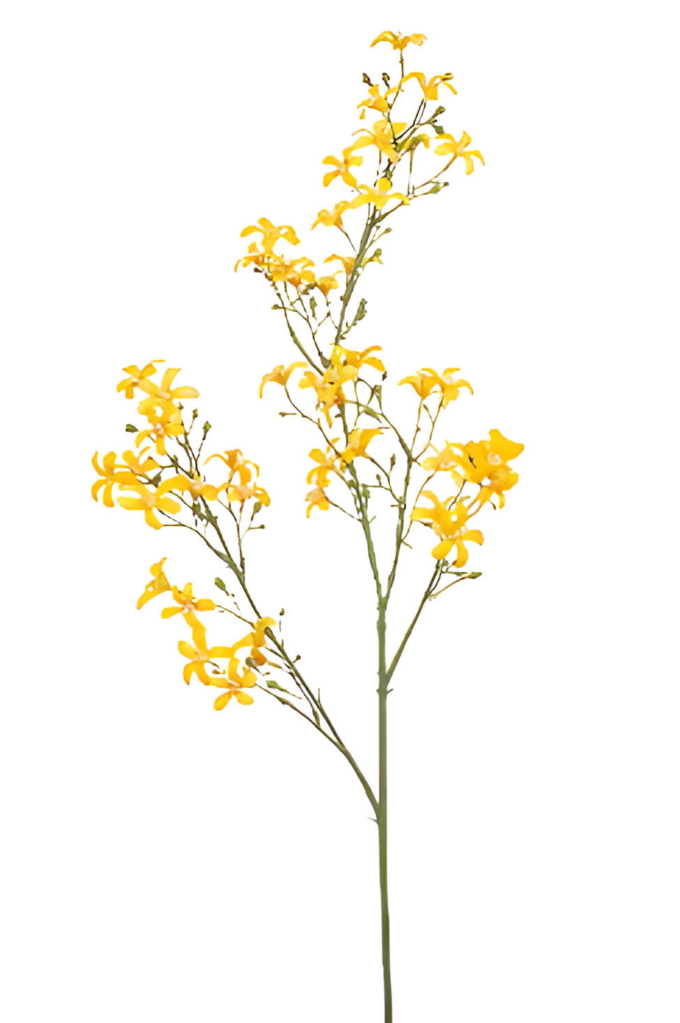 Emerald Saxifraga spray yellow 93 cm  - 