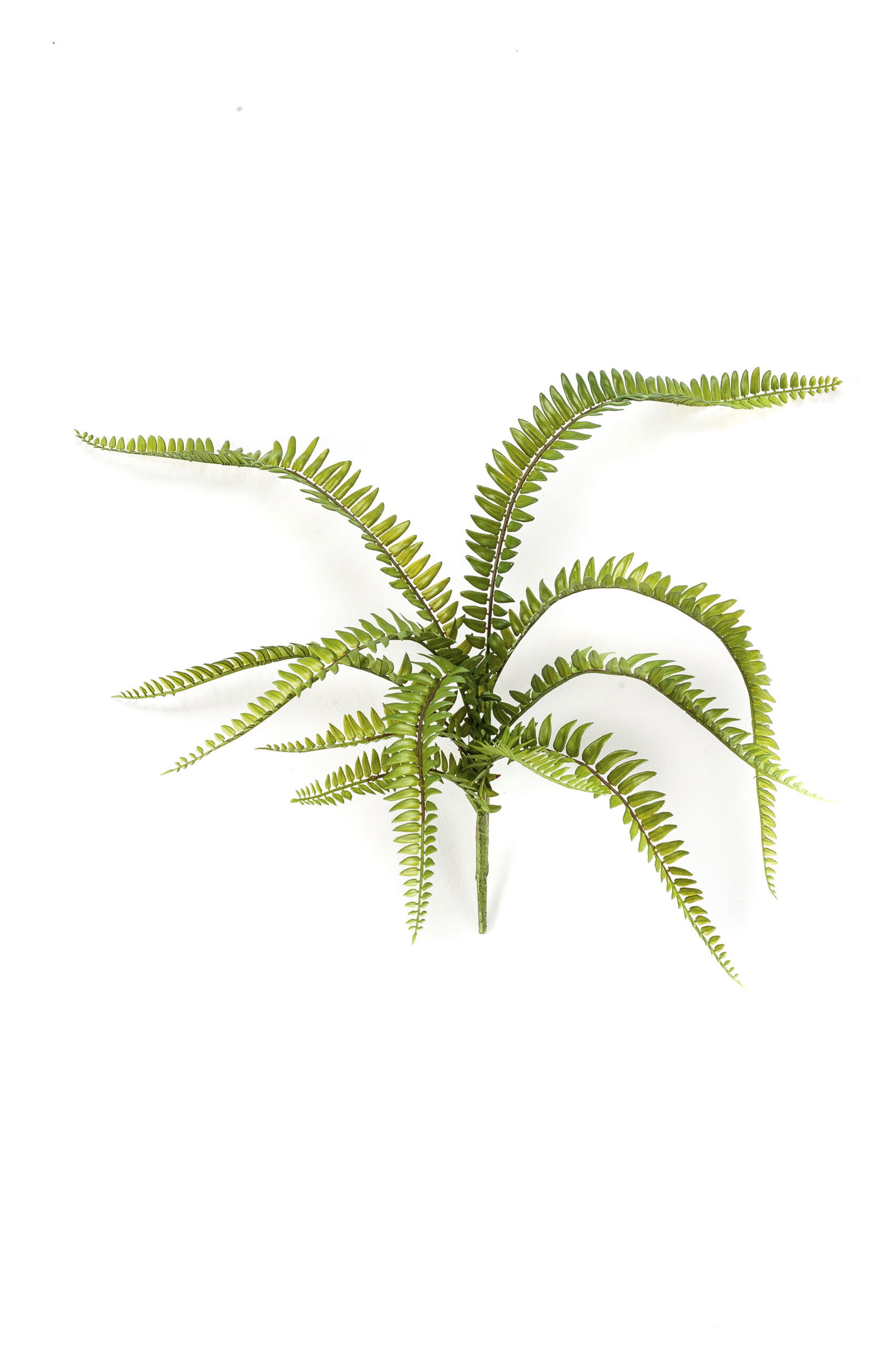 Emerald Fern bush x11 green 58 cm kunstbloem zijde nepbloem - 