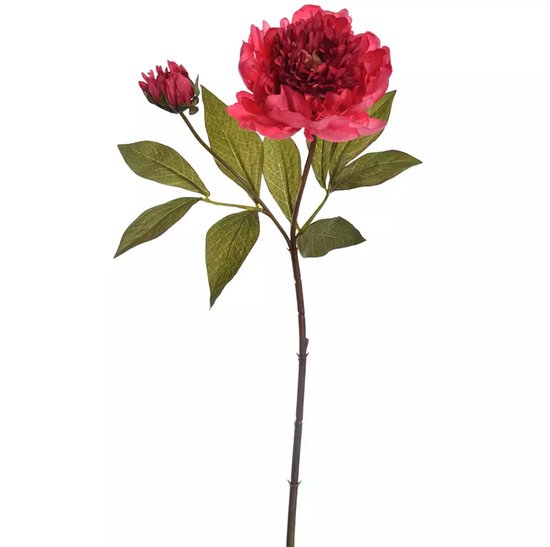 Hortus Peony spray 66 cm beauty - 