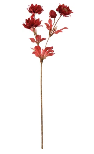 Jasaco Helleborussteel l66 cm goud/rood - 