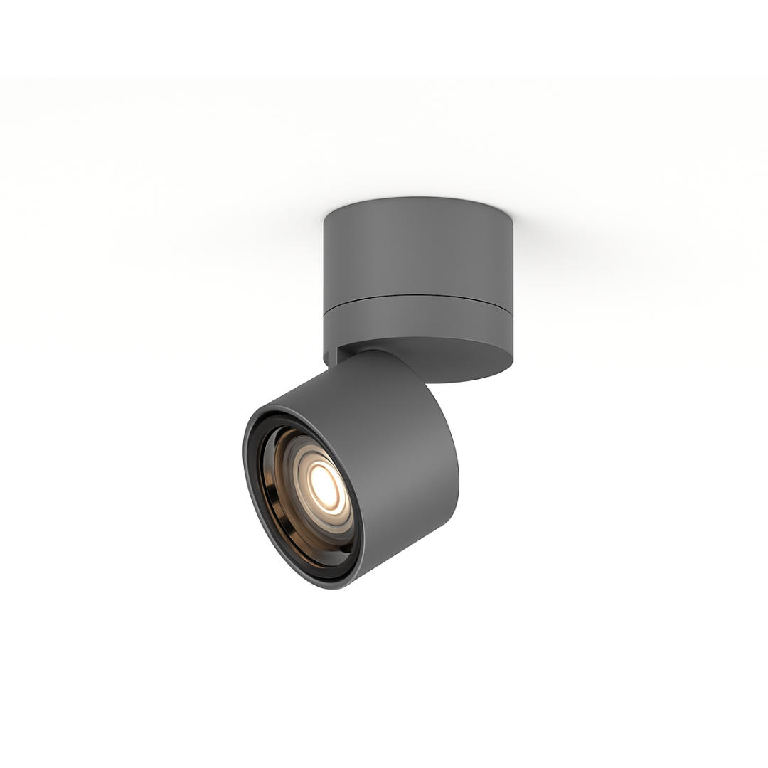 B.lux  Sis C D40 24º Spot