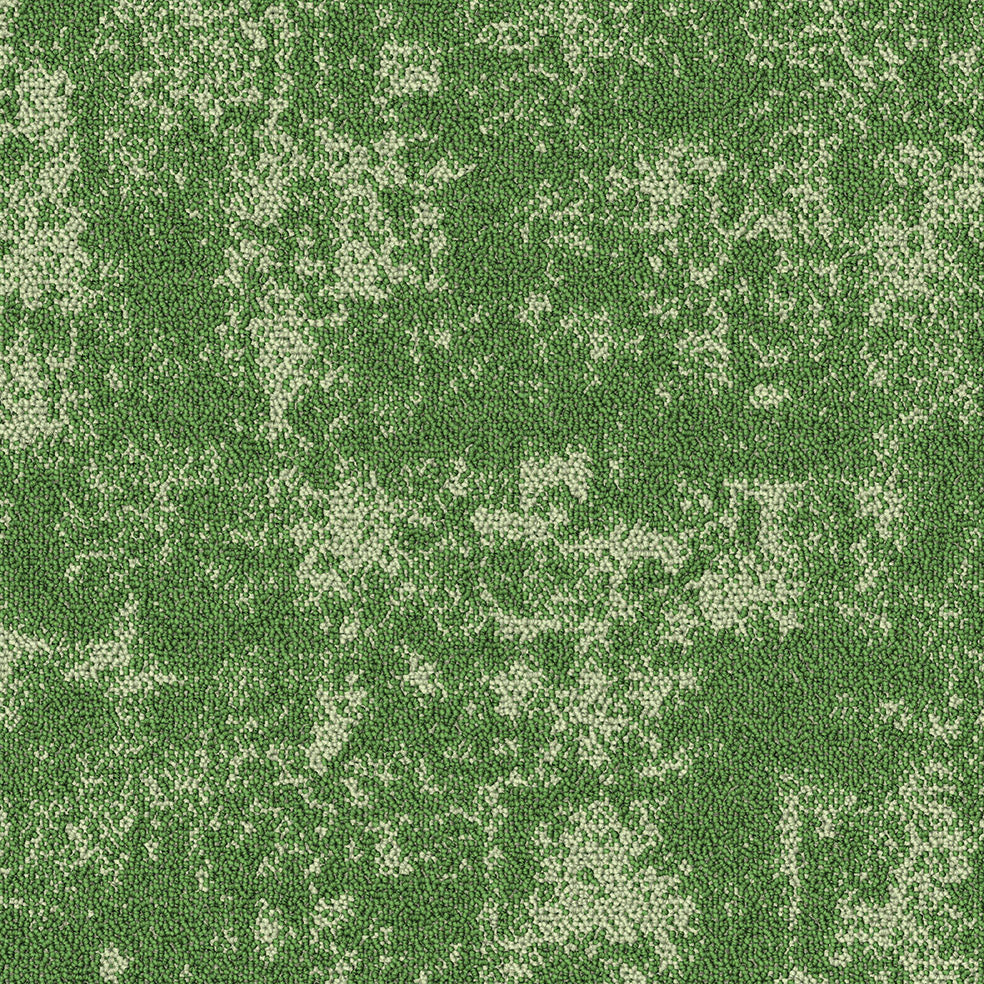 Van Heugten Tapijttegels  50x50cm -  -  -  - 