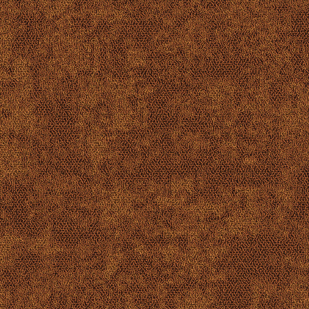 Van Heugten Tapijttegels  50x50cm -  -  -  - 