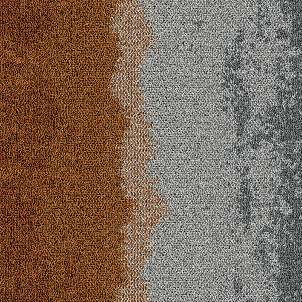 Van Heugten Tapijttegels  50x50cm -  -  -  - 