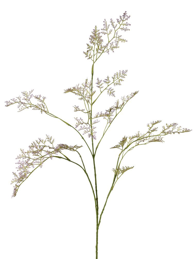 Top art Limoniumtak Zeelavendel 3x vertakt met 57 bloemtoeven 100 cm - 