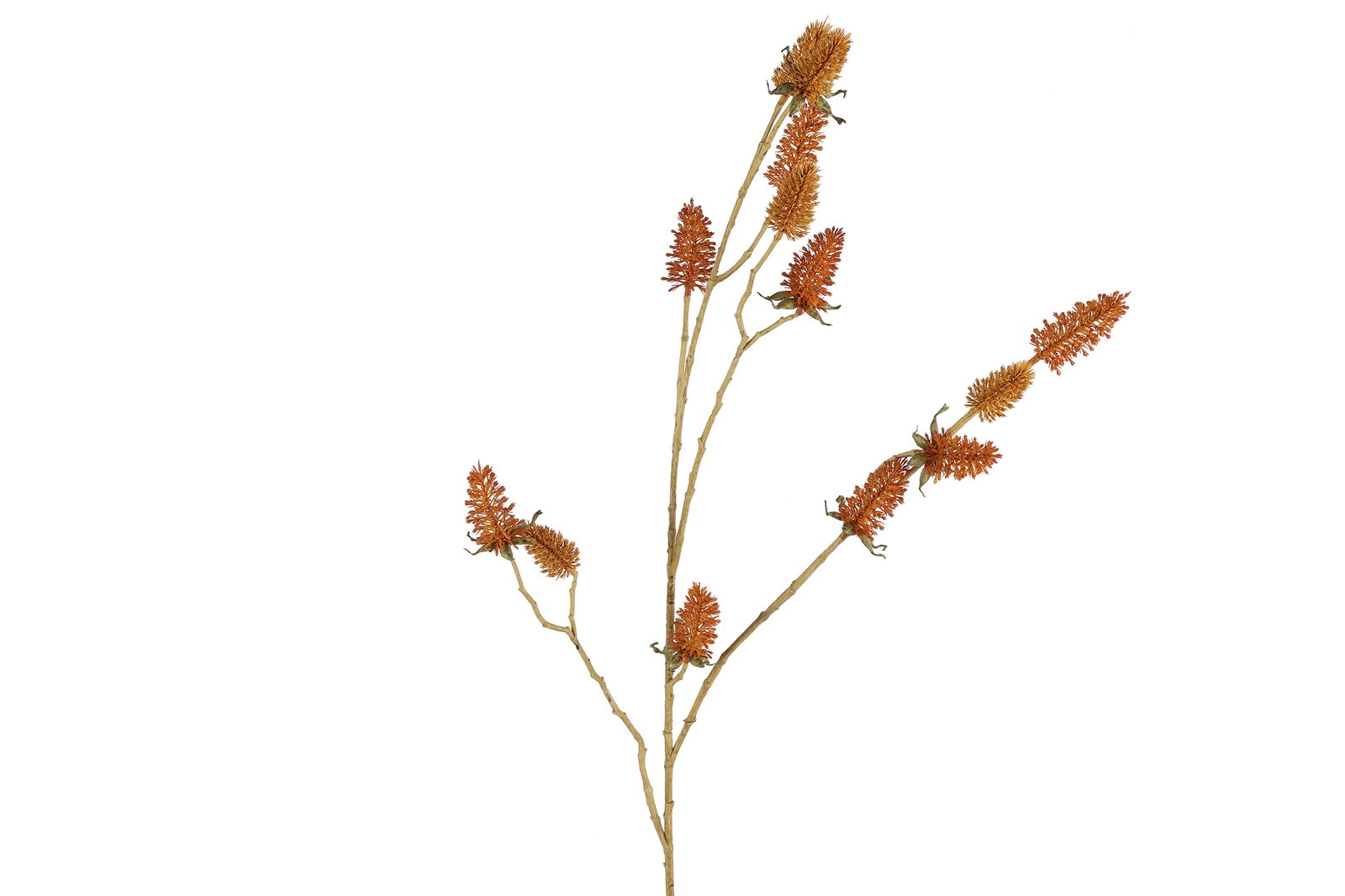 Countryfield Carduus oranje - 