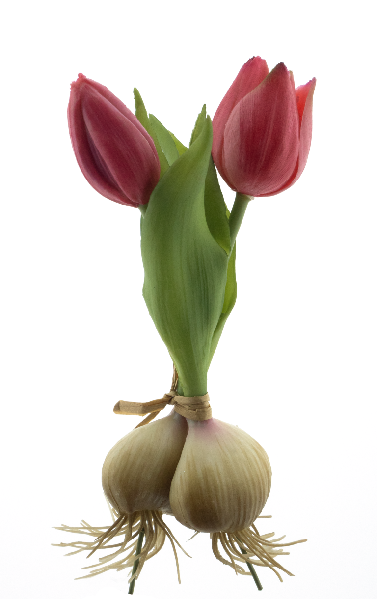 Nova nature PSO Holland tulip Sally w/bulb beauty 18 cm kunstbloem  - 