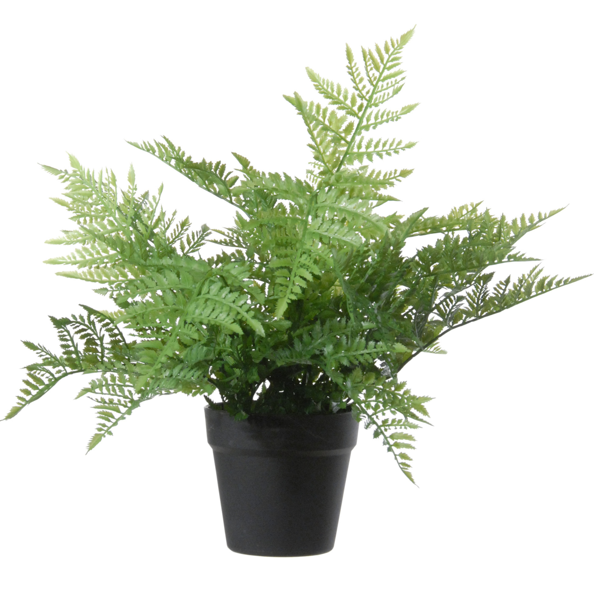 Louis Maes Kunstplant bosvaren Dryopteris Remota - groen - 43 cm - zwarte kunststof pot -